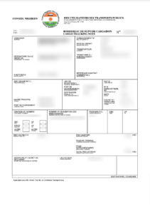 Niger_BSC_Certificate_Sample_BSCAfrica Niger BSC Sample